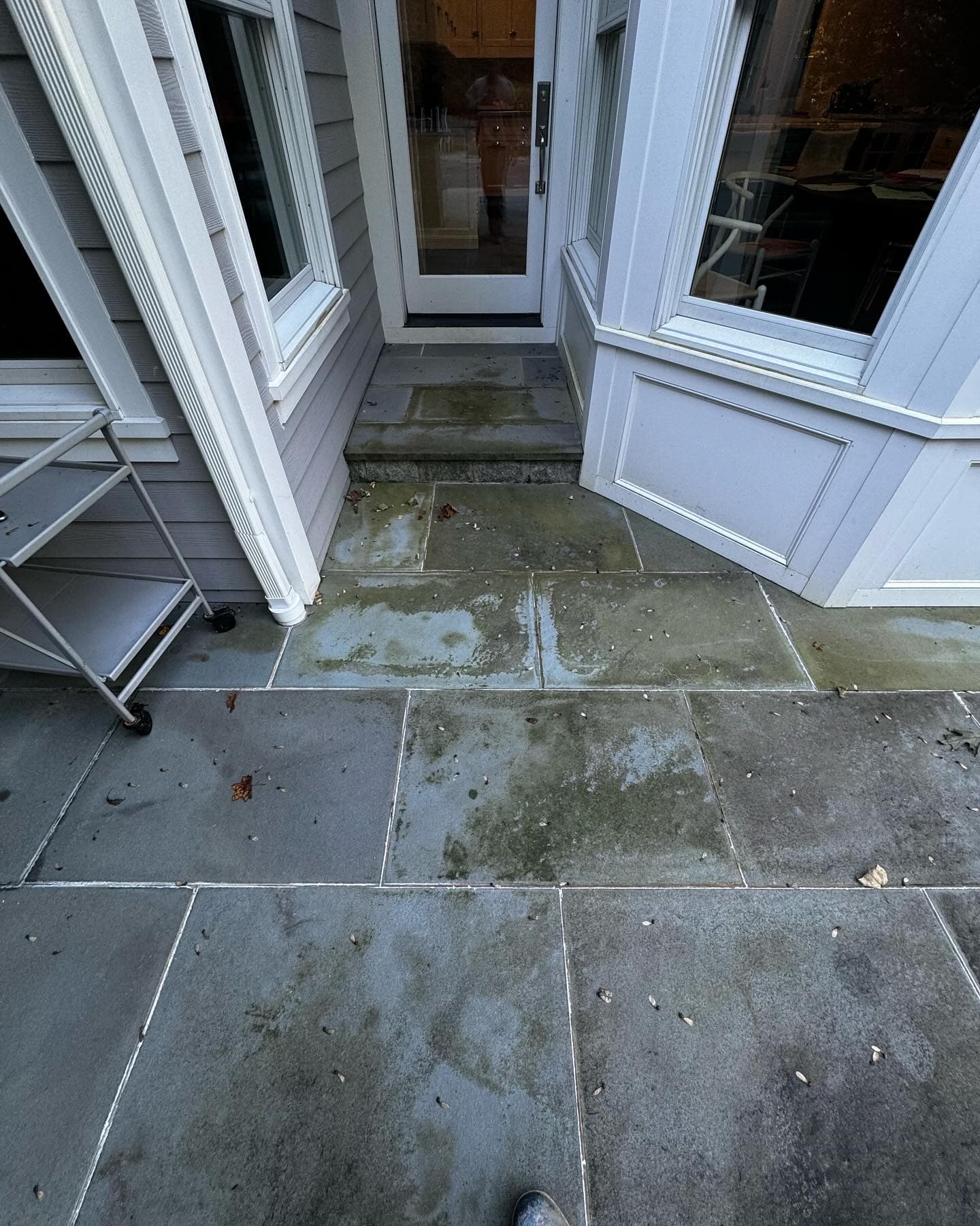 Before: Stone Patio Restoration
