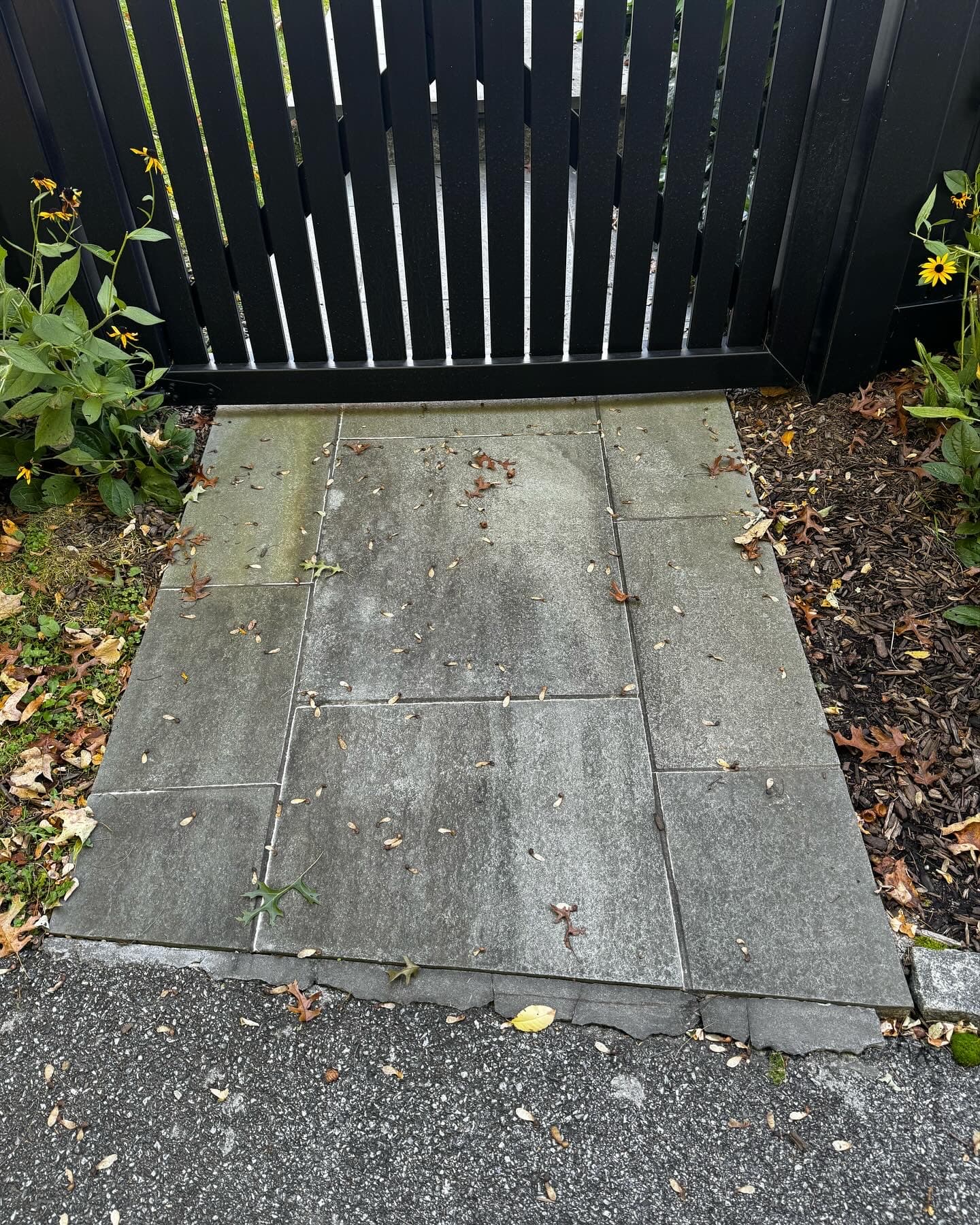 Before: Patio Stone Restoration